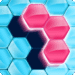 Block! Hexa Puzzle MOD APK (Auto Win)